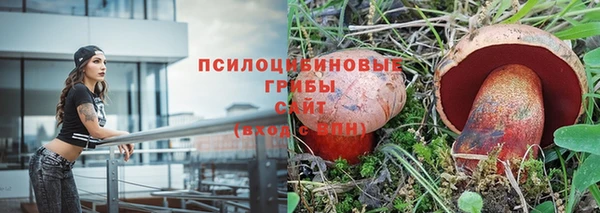 гидропоника Алексеевка