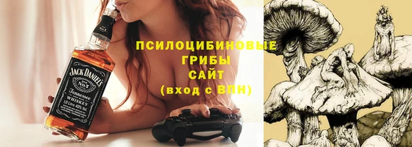 стафф Пересвет
