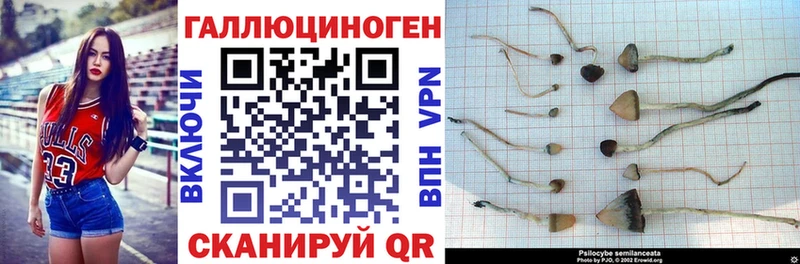 Псилоцибиновые грибы мицелий  дарнет шоп  Кириши 